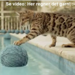 Video – Her regner det garn fra himmelen Video – Her regner det garn fra himmelen